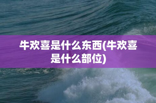 牛欢喜是什么东西(牛欢喜是什么部位)