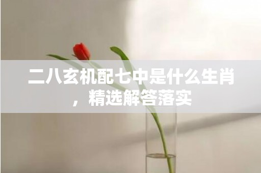 二八玄机配七中是什么生肖，精选解答落实