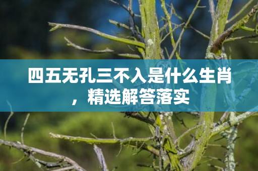 四五无孔三不入是什么生肖，精选解答落实