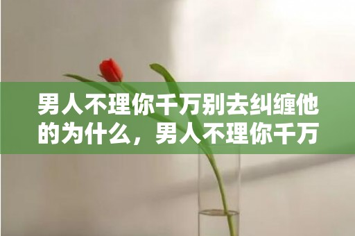 男人不理你千万别去纠缠他的为什么，男人不理你千万别理他 对付突然不理你的男人