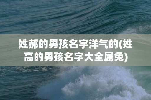 姓郝的男孩名字洋气的(姓高的男孩名字大全属兔)