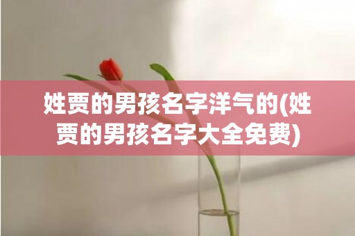 姓贾的男孩名字洋气的(姓贾的男孩名字大全免费)