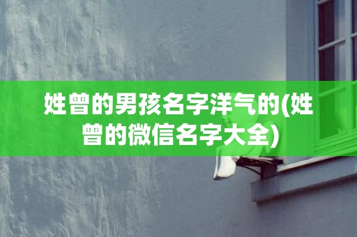 姓曾的男孩名字洋气的(姓曾的微信名字大全)