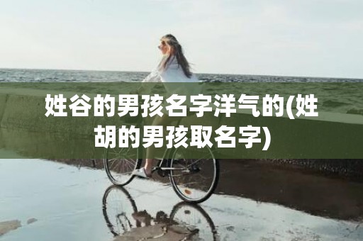 姓谷的男孩名字洋气的(姓胡的男孩取名字)