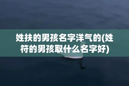 姓扶的男孩名字洋气的(姓符的男孩取什么名字好)