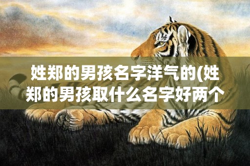 姓郑的男孩名字洋气的(姓郑的男孩取什么名字好两个字)