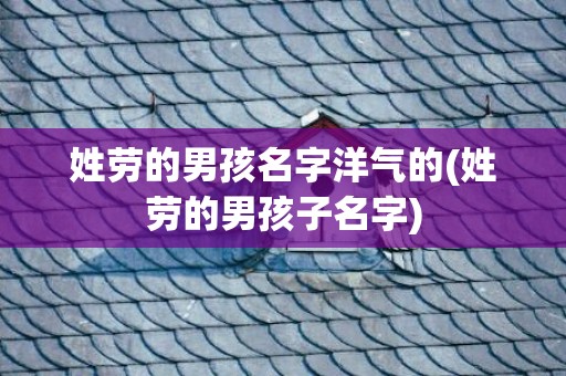姓劳的男孩名字洋气的(姓劳的男孩子名字)
