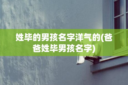 姓毕的男孩名字洋气的(爸爸姓毕男孩名字)