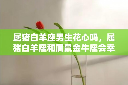 属猪白羊座男生花心吗，属猪白羊座和属鼠金牛座会幸福吗