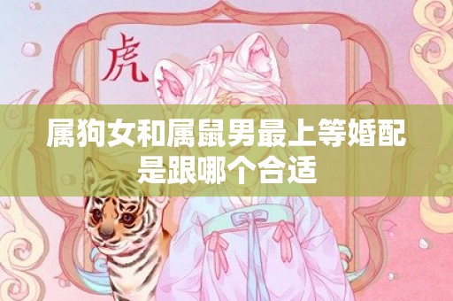属狗女和属鼠男最上等婚配是跟哪个合适