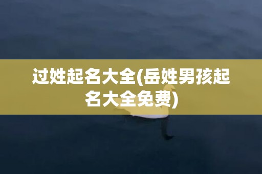 过姓起名大全(岳姓男孩起名大全免费)