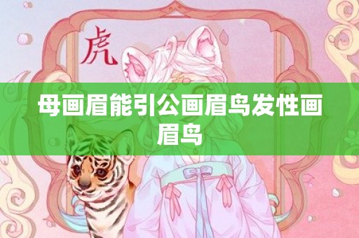 母画眉能引公画眉鸟发性画眉鸟