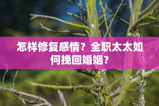 怎样修复感情？全职太太如何挽回婚姻？