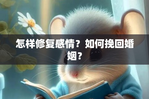 怎样修复感情？如何挽回婚姻？