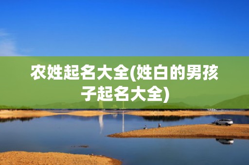 农姓起名大全(姓白的男孩子起名大全)