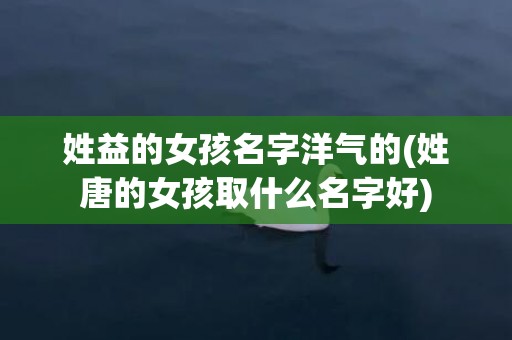 姓益的女孩名字洋气的(姓唐的女孩取什么名字好)