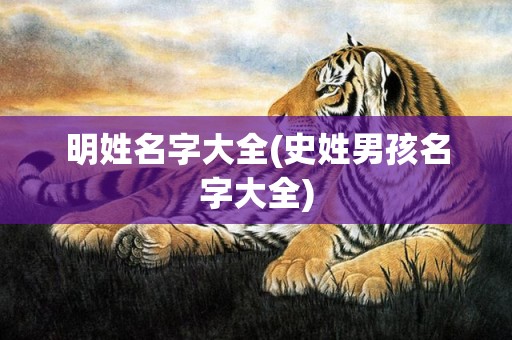 明姓名字大全(史姓男孩名字大全)