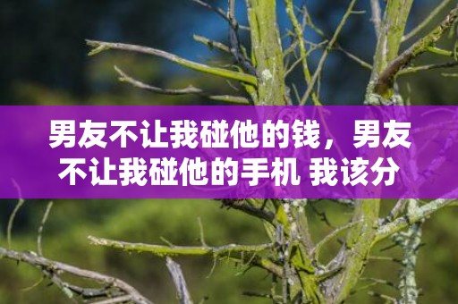 男友不让我碰他的钱，男友不让我碰他的手机 我该分手吗