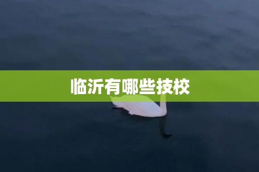 临沂有哪些技校