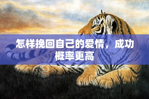 怎样挽回自己的爱情，成功概率更高