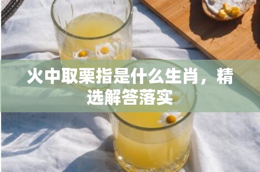 火中取栗指是什么生肖，精选解答落实