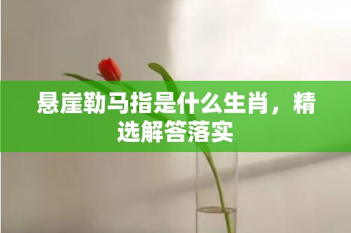 悬崖勒马指是什么生肖，精选解答落实