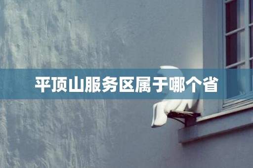 平顶山服务区属于哪个省