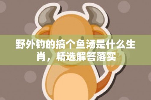 野外钓的搞个鱼汤是什么生肖，精选解答落实