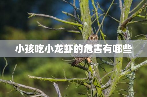 小孩吃小龙虾的危害有哪些