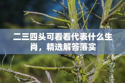 二三四头可看看代表什么生肖，精选解答落实