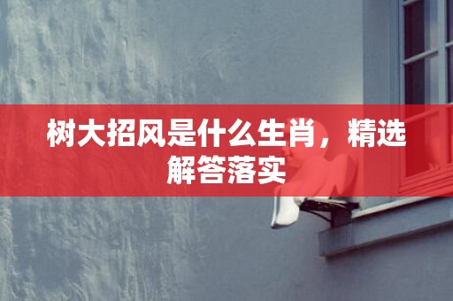 树大招风是什么生肖，精选解答落实
