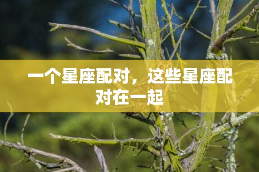 一个星座配对，这些星座配对在一起