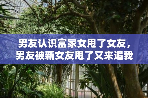 男友认识富家女甩了女友，男友被新女友甩了又来追我该接受吗