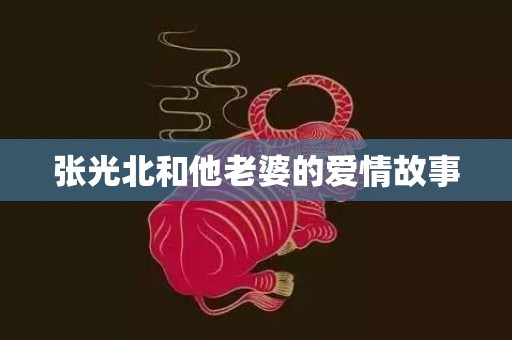 张光北和他老婆的爱情故事