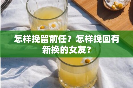 怎样挽留前任？怎样挽回有新换的女友？