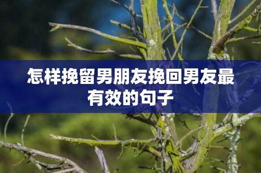 怎样挽留男朋友挽回男友最有效的句子