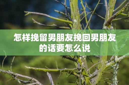 怎样挽留男朋友挽回男朋友的话要怎么说