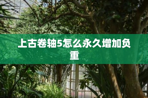 上古卷轴5怎么永久增加负重