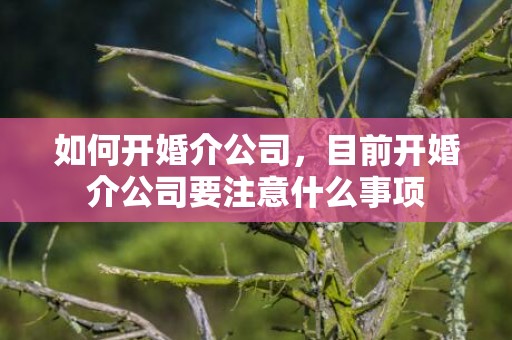 如何开婚介公司，目前开婚介公司要注意什么事项