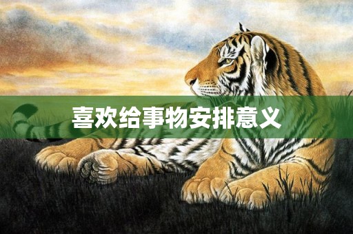喜欢给事物安排意义