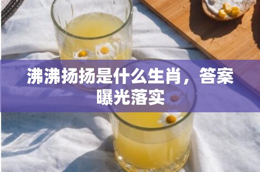 沸沸扬扬是什么生肖，答案曝光落实