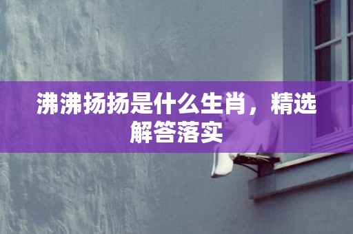 沸沸扬扬是什么生肖，精选解答落实
