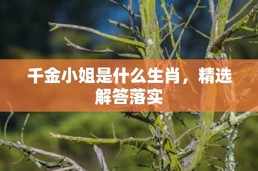 千金小姐是什么生肖，精选解答落实