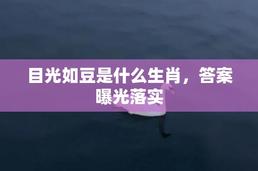 目光如豆是什么生肖，答案曝光落实