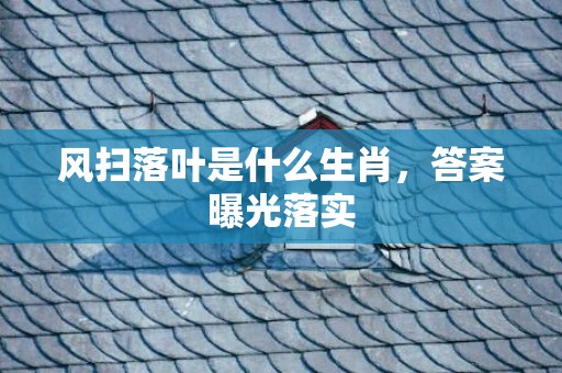 风扫落叶是什么生肖，答案曝光落实