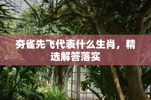 夯雀先飞代表什么生肖，精选解答落实