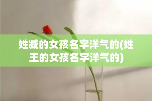 姓臧的女孩名字洋气的(姓王的女孩名字洋气的)