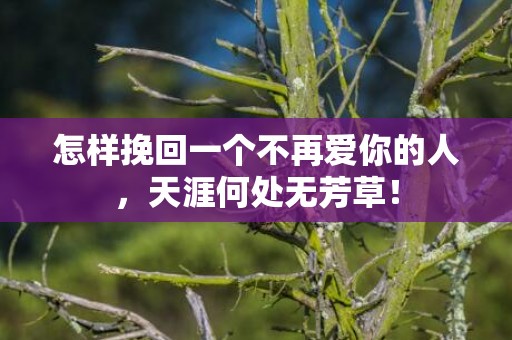 怎样挽回一个不再爱你的人，天涯何处无芳草！