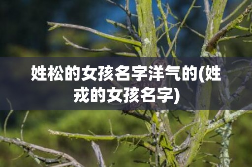姓松的女孩名字洋气的(姓戎的女孩名字)