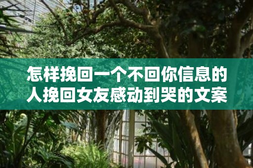 怎样挽回一个不回你信息的人挽回女友感动到哭的文案